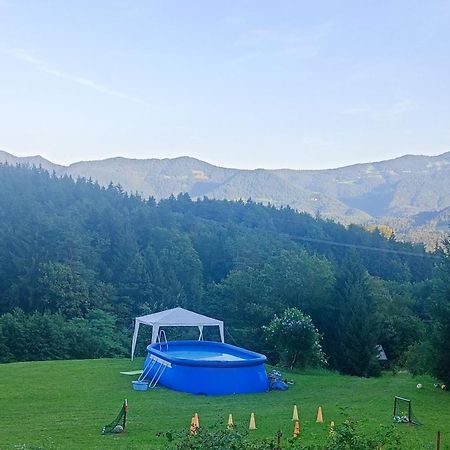 Apartmaji Borstner Vransko المظهر الخارجي الصورة