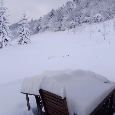 Apartmaji Borstner Vransko المظهر الخارجي الصورة