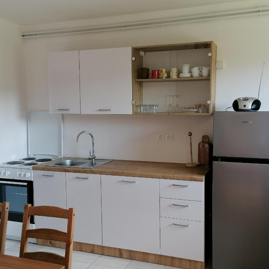 Apartmaji Borstner Vransko المظهر الخارجي الصورة