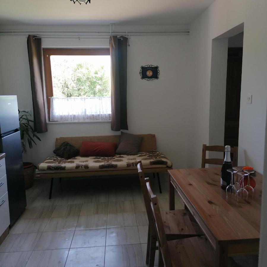 Apartmaji Borstner Vransko المظهر الخارجي الصورة