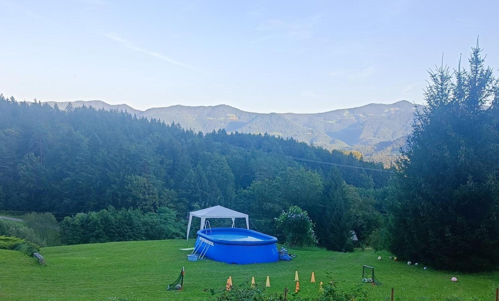 Apartmaji Borstner Vransko المظهر الخارجي الصورة