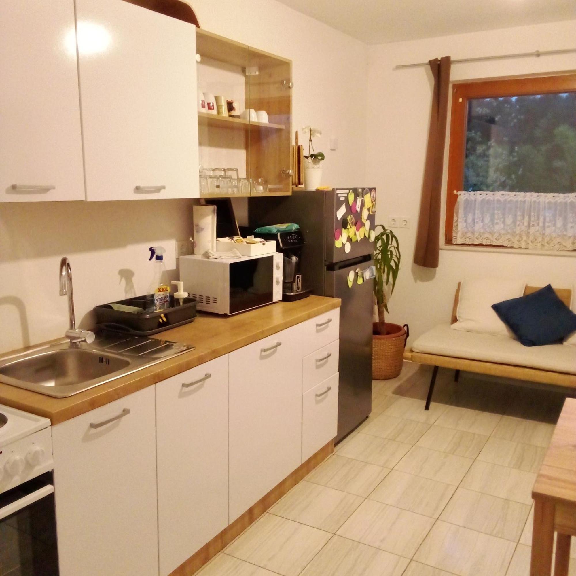 Apartmaji Borstner Vransko المظهر الخارجي الصورة