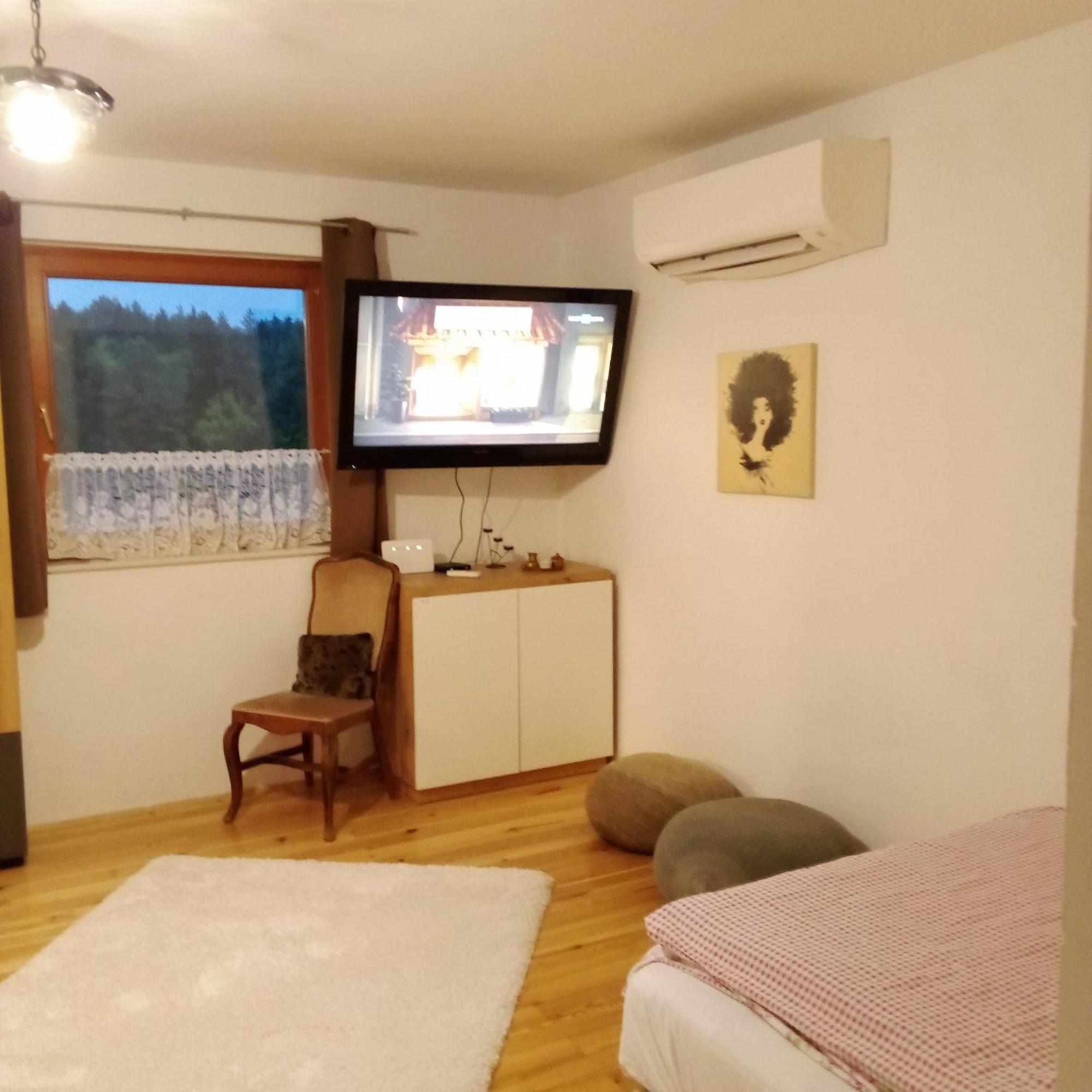 Apartmaji Borstner Vransko المظهر الخارجي الصورة
